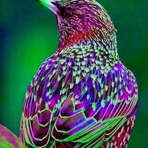 Meet your Posher, Krystyna